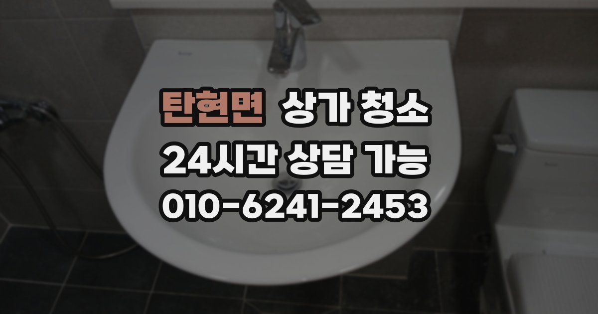 탄현면 상가 청소
