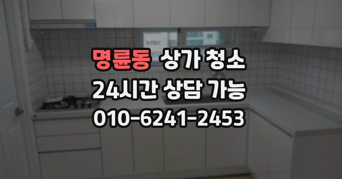 명륜동 상가 청소