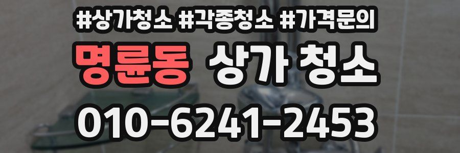 명륜동 상가 청소