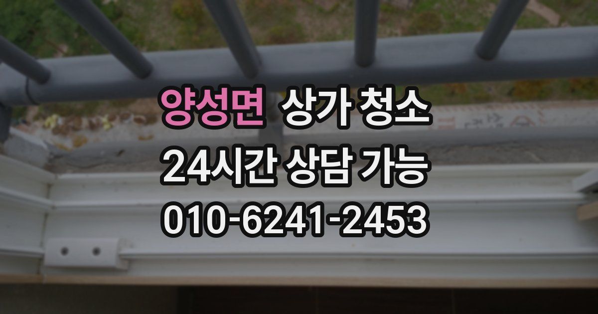 양성면 상가 청소
