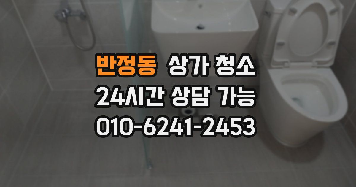 반정동 상가 청소