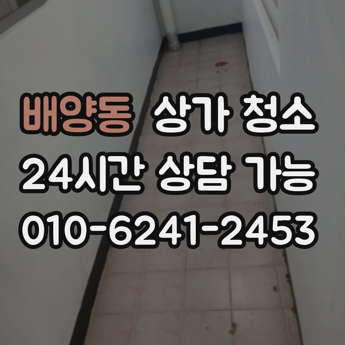 배양동 상가 청소
