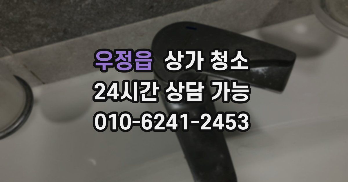 우정읍 상가 청소