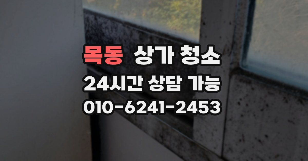 목동 상가 청소
