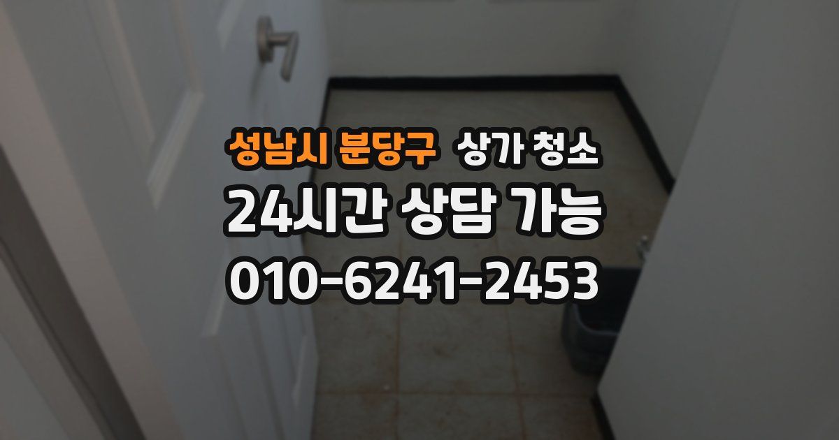 성남시 분당구 상가 청소