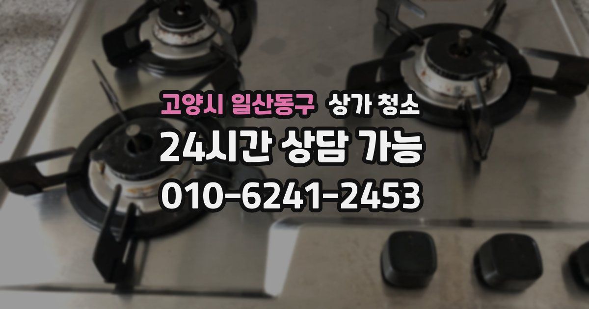 고양시 일산동구 상가 청소