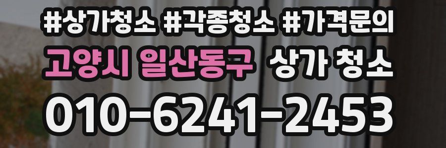고양시 일산동구 상가 청소