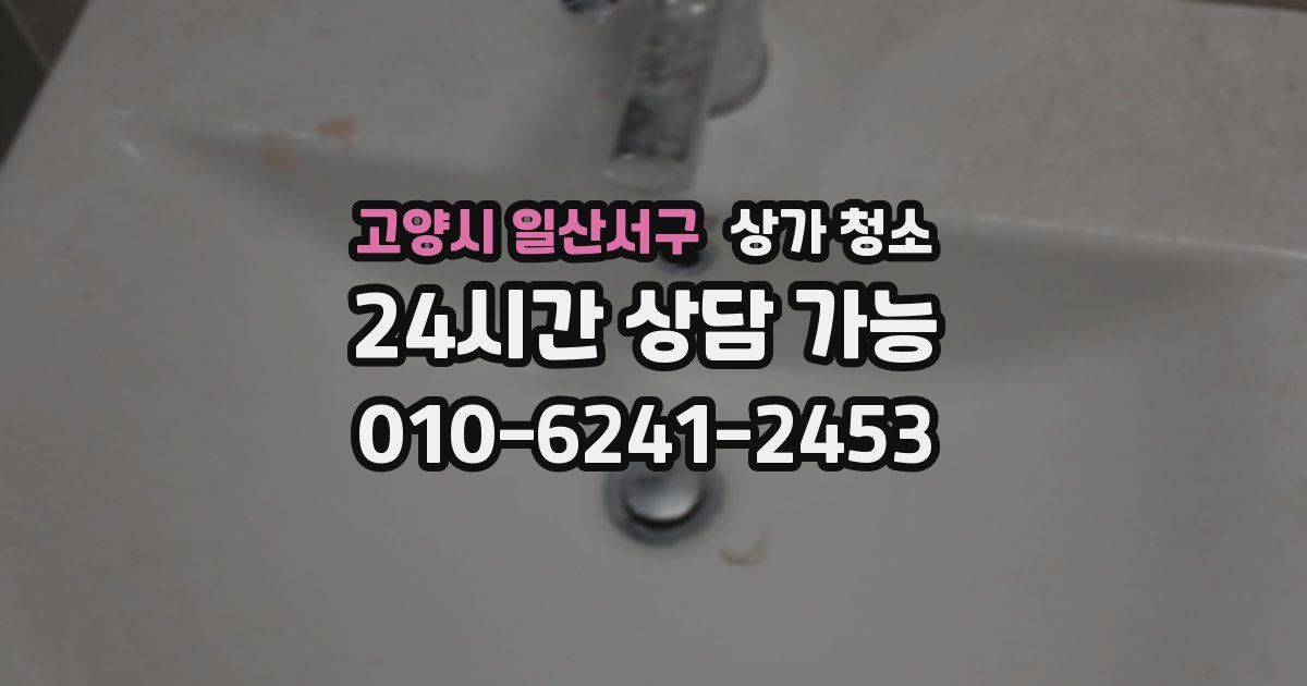 고양시 일산서구 상가 청소