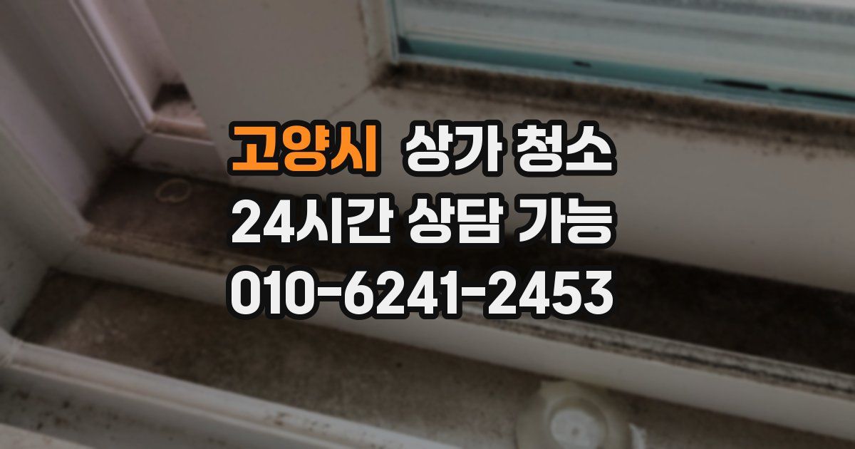 고양시 상가 청소