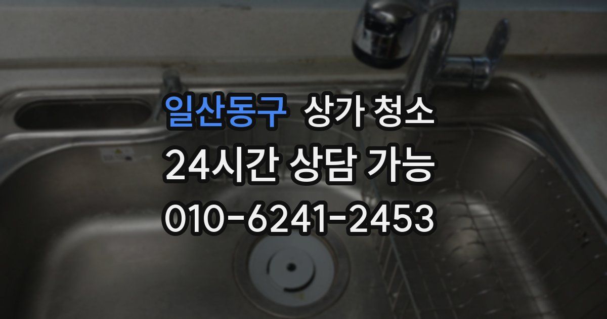 일산동구 상가 청소