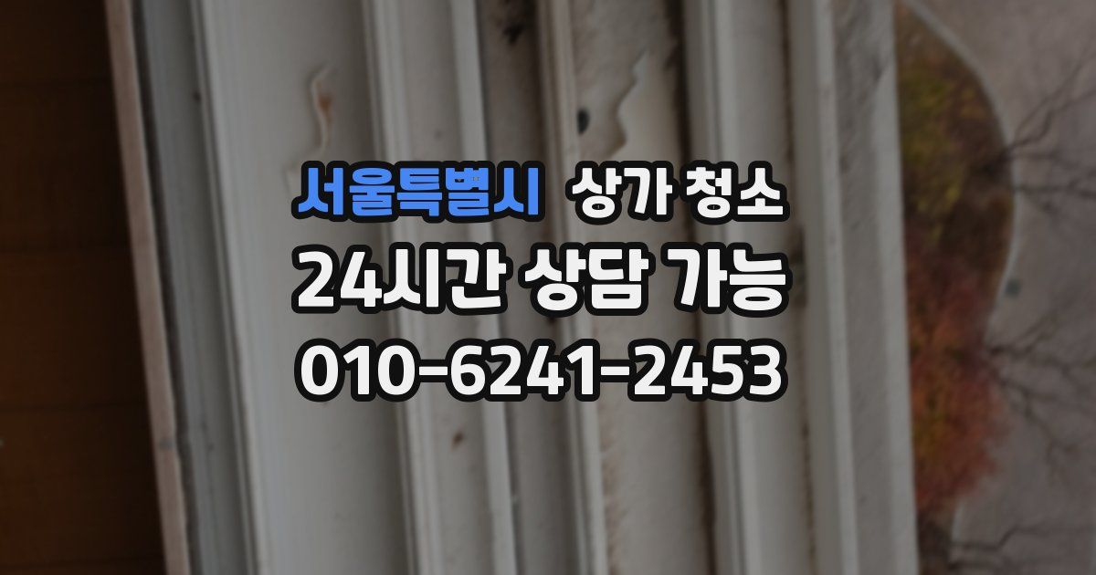 서울특별시 상가 청소
