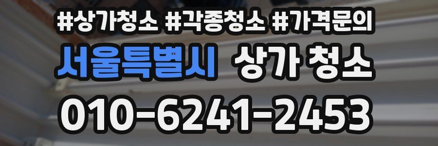 서울특별시 상가 청소