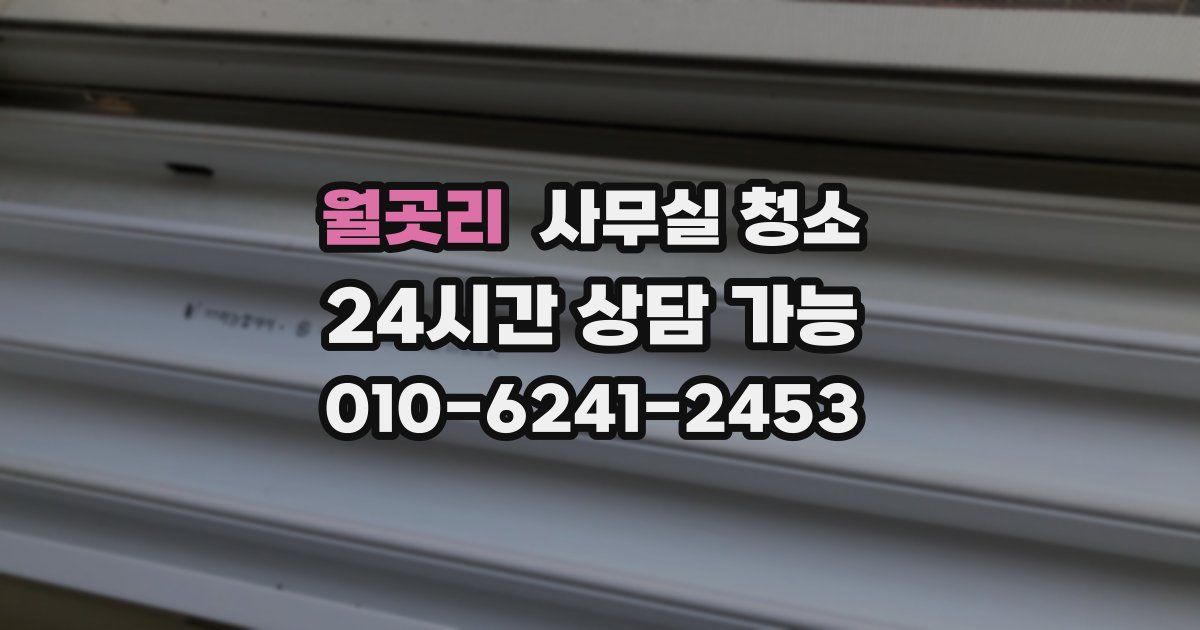 월곳리 사무실 청소