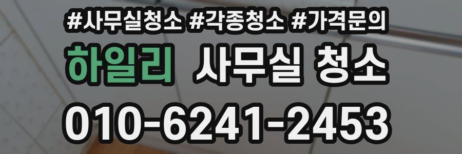하일리 사무실 청소