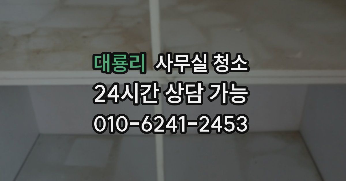 대룡리 사무실 청소