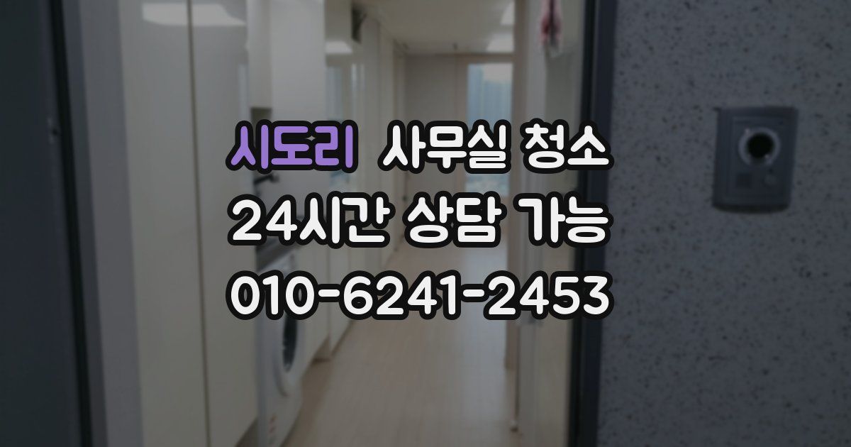 시도리 사무실 청소