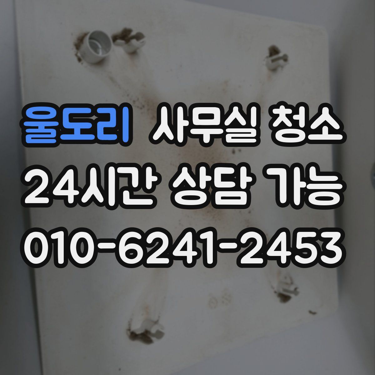 울도리 사무실 청소