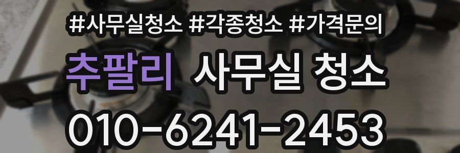 추팔리 사무실 청소