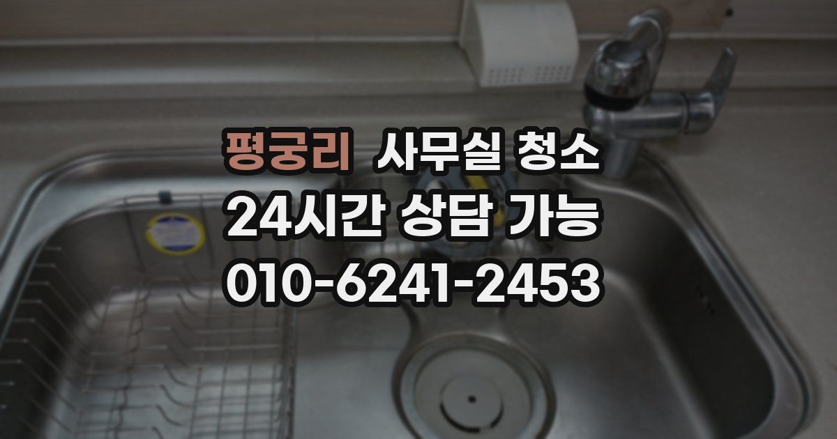 평궁리 사무실 청소