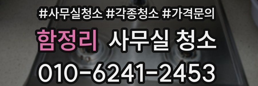 함정리 사무실 청소