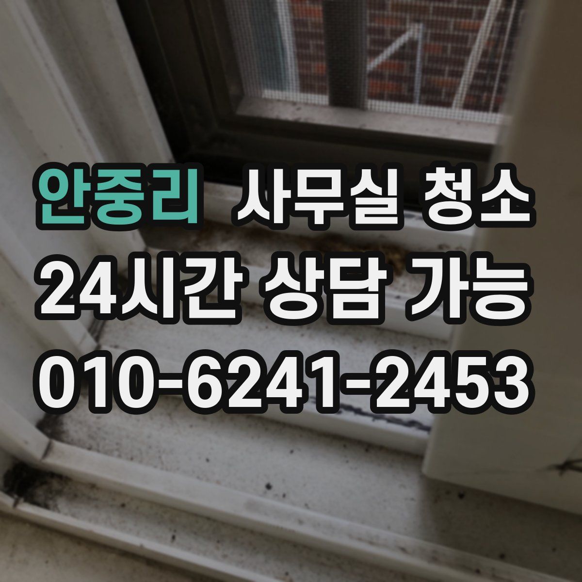 안중리 사무실 청소