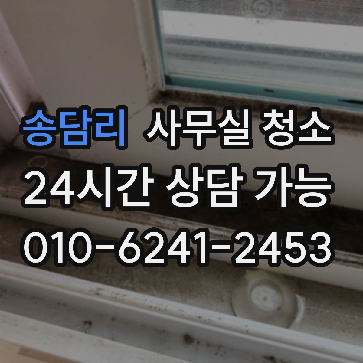 송담리 사무실 청소