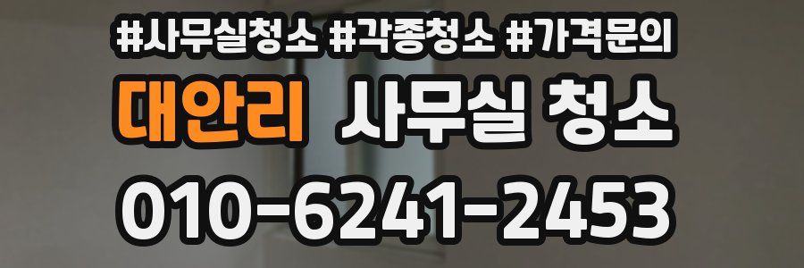 대안리 사무실 청소