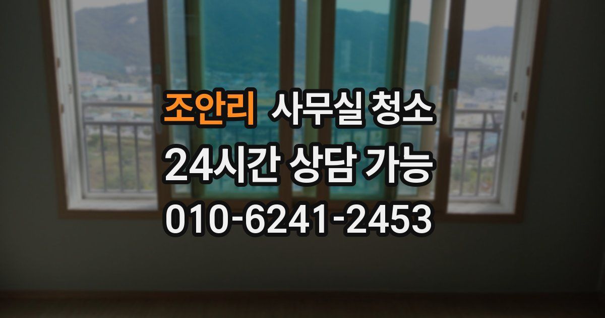 조안리 사무실 청소