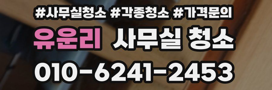 유운리 사무실 청소