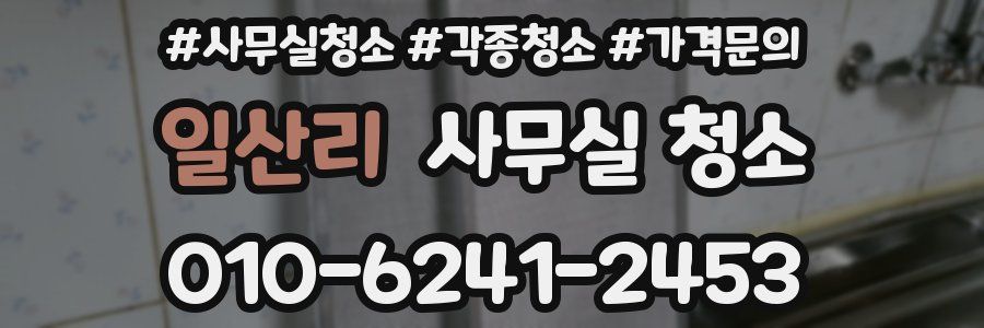 일산리 사무실 청소