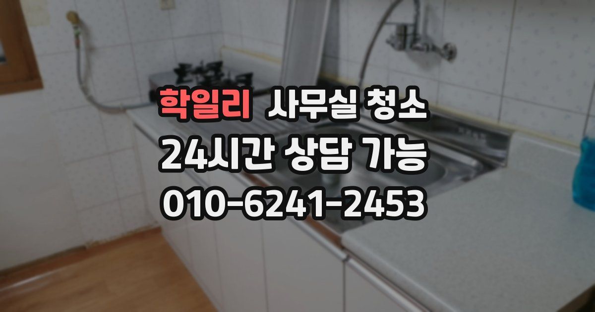 학일리 사무실 청소