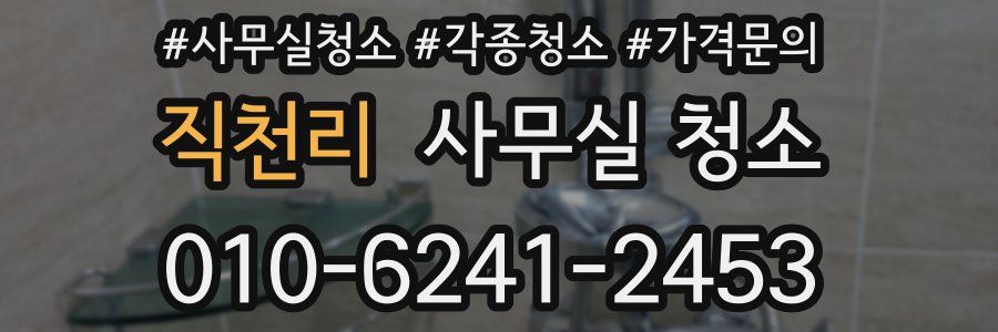 직천리 사무실 청소