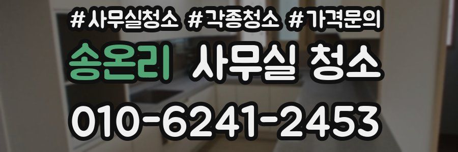 송온리 사무실 청소