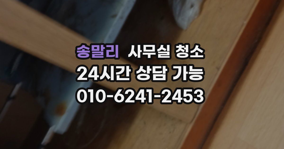 송말리 사무실 청소