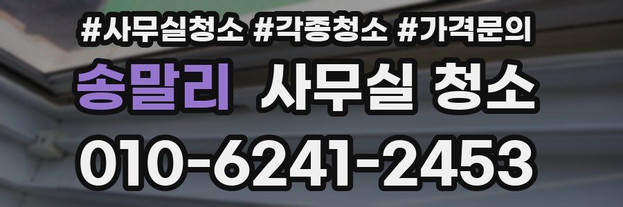 송말리 사무실 청소