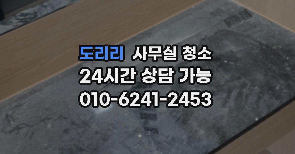도리리 사무실 청소