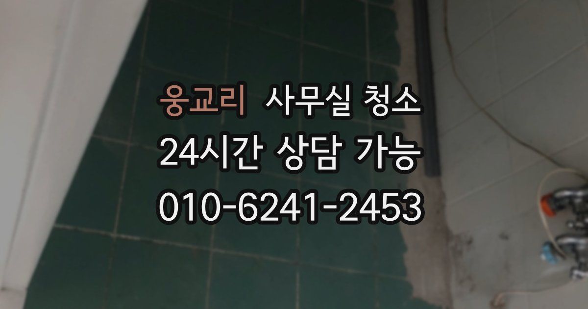 웅교리 사무실 청소