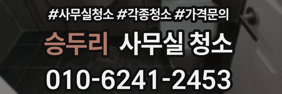 승두리 사무실 청소
