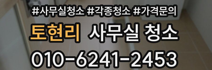 토현리 사무실 청소