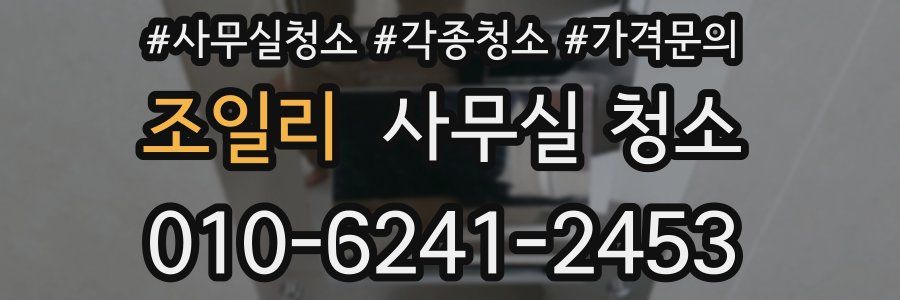 조일리 사무실 청소