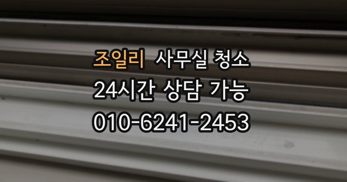 조일리 사무실 청소