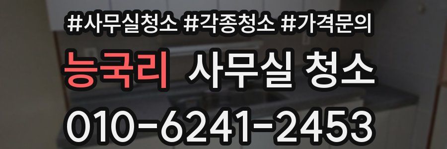 능국리 사무실 청소
