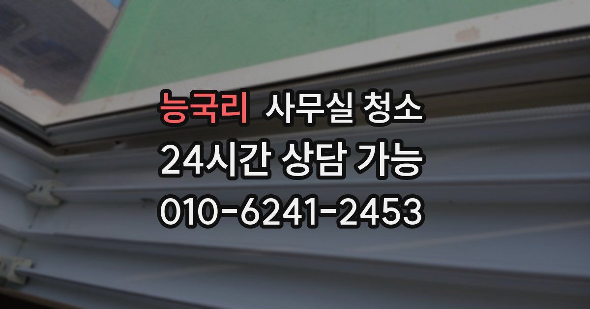 능국리 사무실 청소
