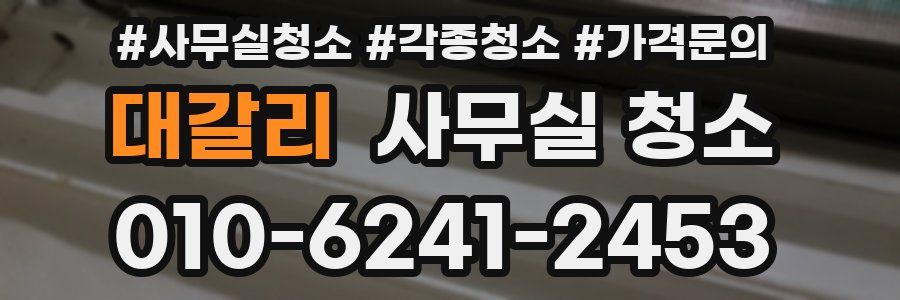 대갈리 사무실 청소