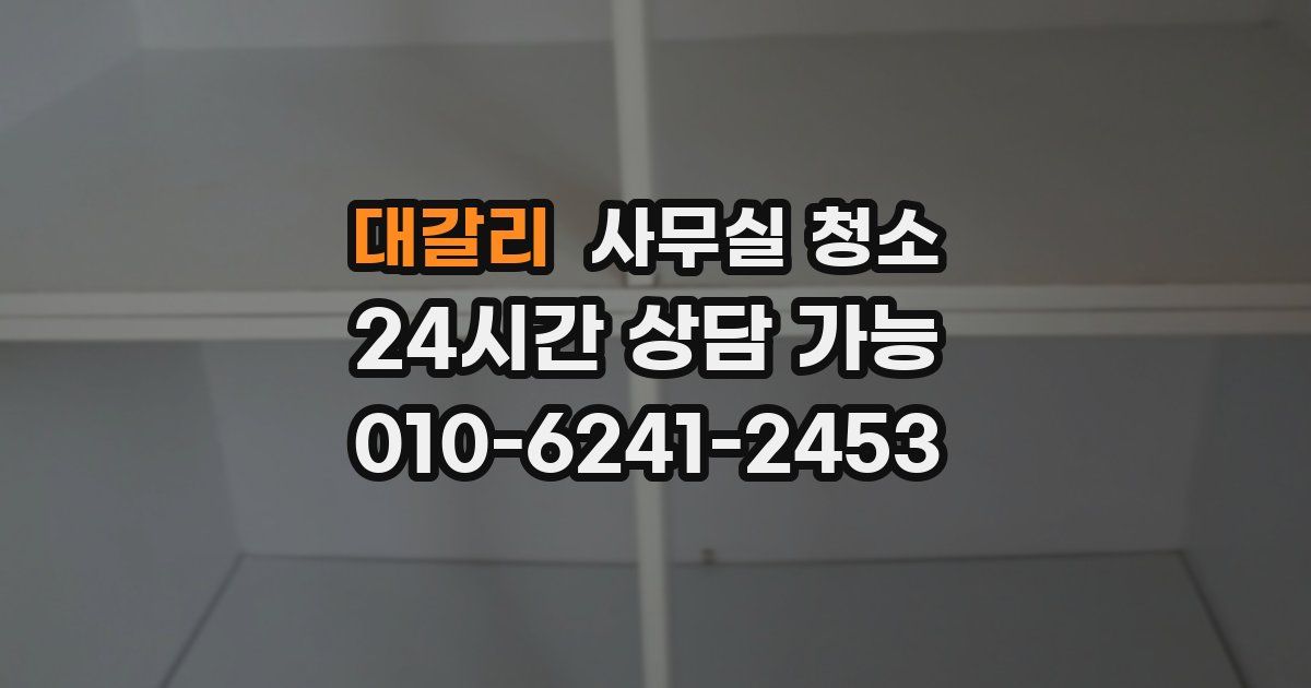 대갈리 사무실 청소