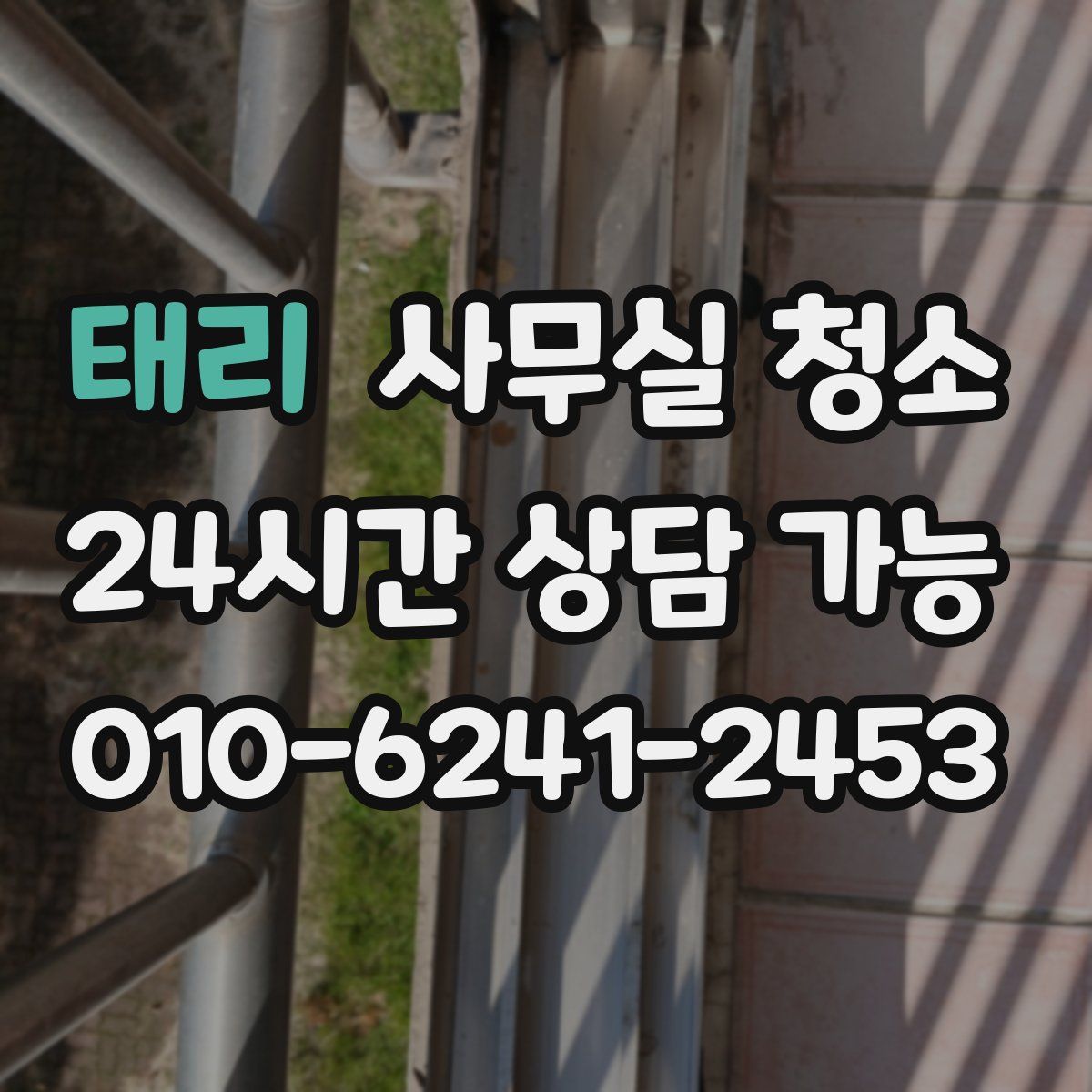 태리 사무실 청소