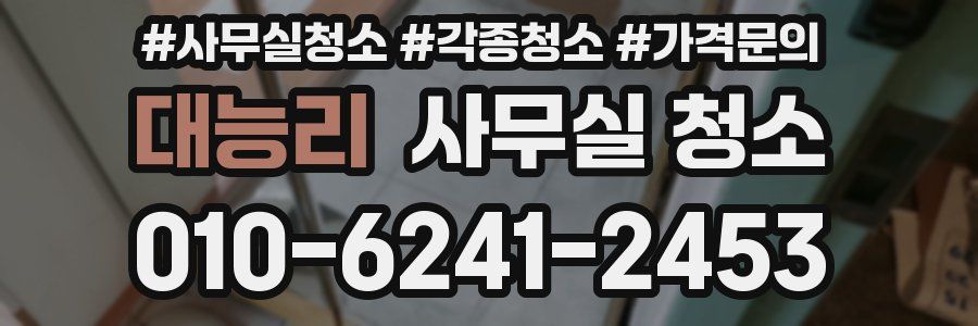 대능리 사무실 청소