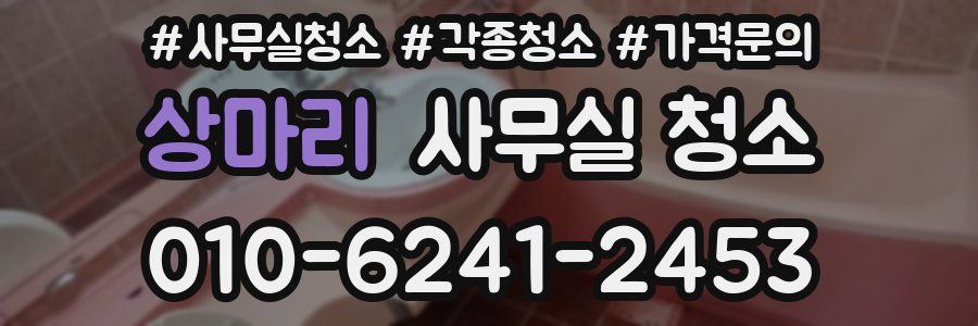 상마리 사무실 청소