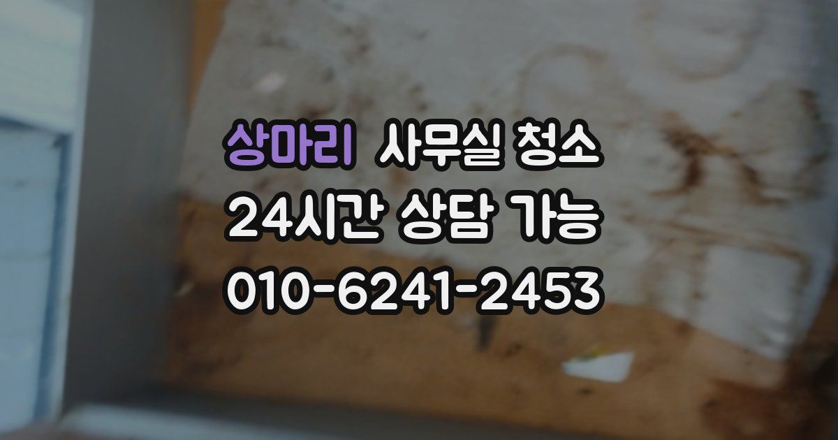 상마리 사무실 청소