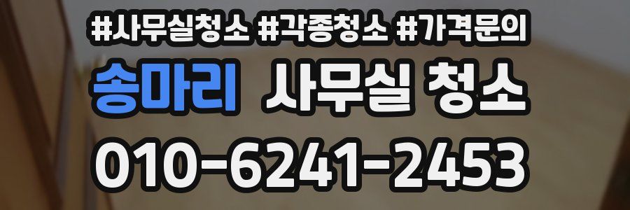 송마리 사무실 청소